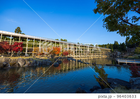 けいはんな記念公園「水景園」日差しを受けて光り輝く観月橋と点在する紅葉&近景のもみじ けいはんな記念公園「水景園」日差しを受けて光り輝く観月橋と点在する紅葉&近景のもみじ 96403633