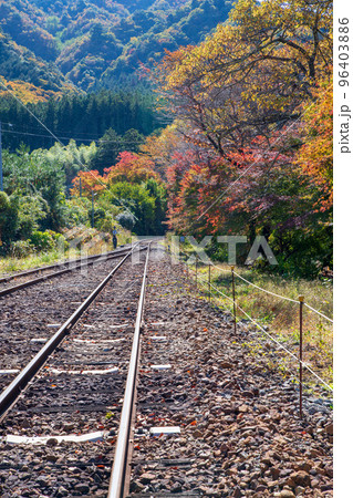 沢入駅からの眺め　わたらせ渓谷鉄道　秋の風景　 96403886