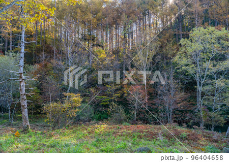 秋の風景 秋の風景 96404658