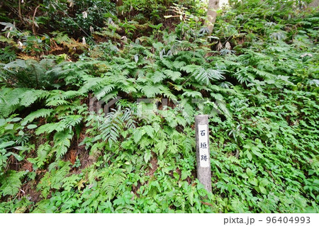 増山城 石垣跡 増山城 石垣跡 96404993