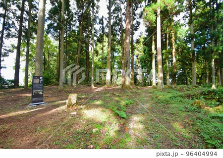 増山城 一の丸 増山城 一の丸 96404994