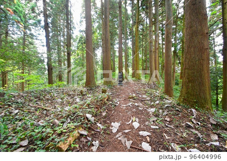 増山城 無常 増山城 無常 96404996