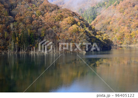 徳山湖の紅葉 96405122
