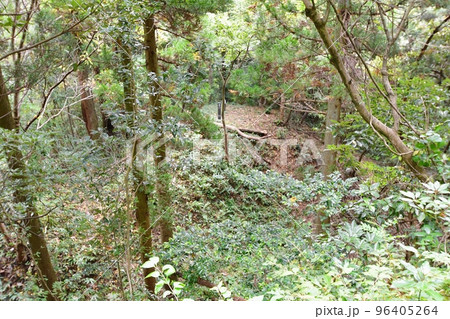 増山城 鐘撞堂から見た南櫓台 増山城 鐘撞堂から見た南櫓台 96405264