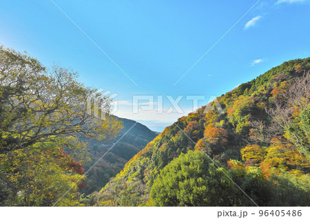 秋色越前岬 秋色越前岬 96405486