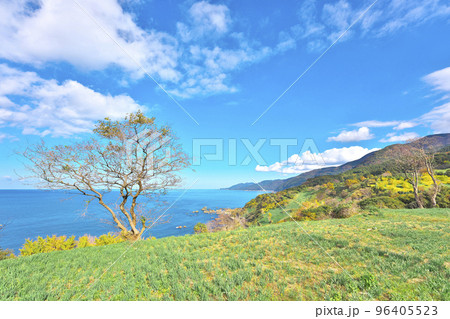 秋色越前岬 秋色越前岬 96405523