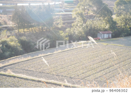 冬の更地の田畑　稲渕 96406302