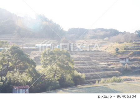 冬の更地の田畑　稲渕 96406304