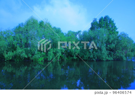 バウィソル 96406574