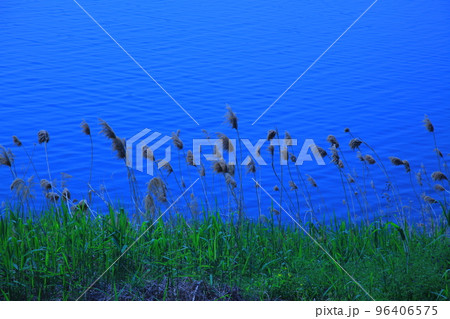 バウィソル 96406575