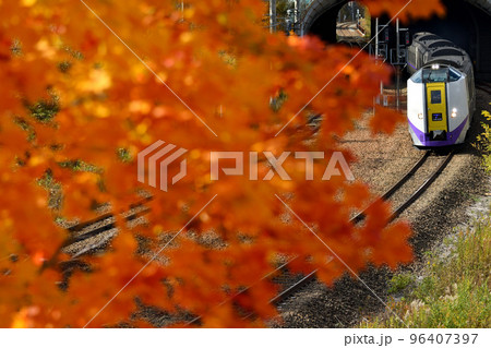 もみじの紅葉と特急列車 96407397