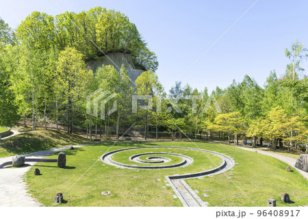 スパイラルスプリング　石山緑地　札幌市 96408917