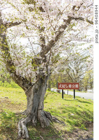 えぼし岩公園 洞爺湖町 えぼし岩公園 洞爺湖町 96408944