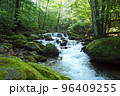 本谷川 夏の渓 96409255