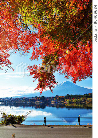 秋の紅葉と富士山 96409684