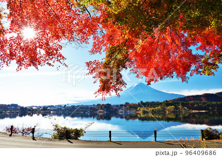 秋の紅葉と富士山 秋の紅葉と富士山 96409686