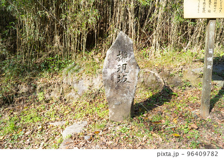 箱根旧街道の権現坂(箱根) 箱根旧街道の権現坂(箱根) 96409782