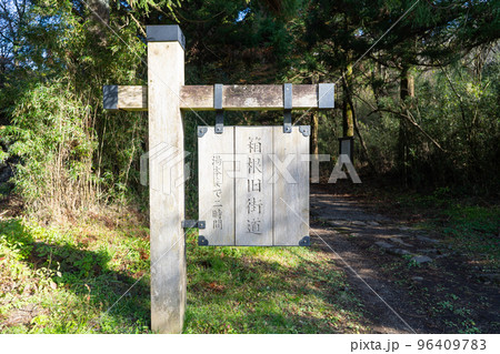 箱根旧街道(箱根) 箱根旧街道(箱根) 96409783