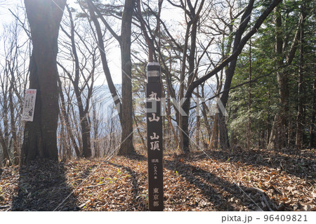 丸山の山頂（東京都檜原村の笹尾根） 96409821