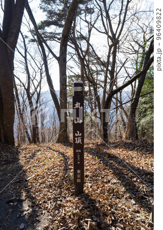 丸山の山頂（東京都檜原村の笹尾根） 96409822