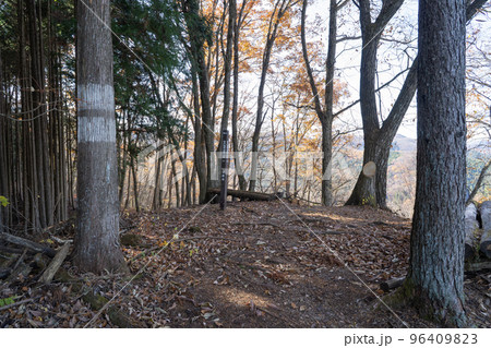 大羽根山の山頂（東京都檜原村の笹尾根） 96409823