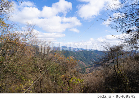 槇寄山の登山道から見た大岳山(東京都檜原村) 槇寄山の登山道から見た大岳山(東京都檜原村) 96409845