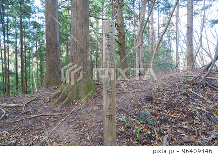 槇寄山の登山道にある国定忠治が遠見した所（東京都檜原村） 96409846