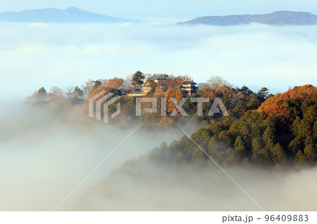 天空城6623 96409883