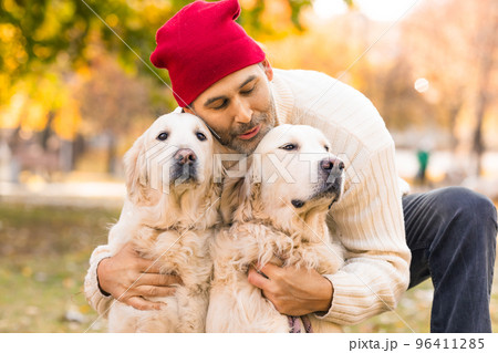 Middle-aged man kissing his two dogs, golden retriever. Middle-aged man kissing his two dogs, golden retriever. 96411285