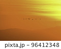 オレンジ色に染まる夕焼けの宮城県蕪栗沼で見られるガンのねぐら入り 96412348