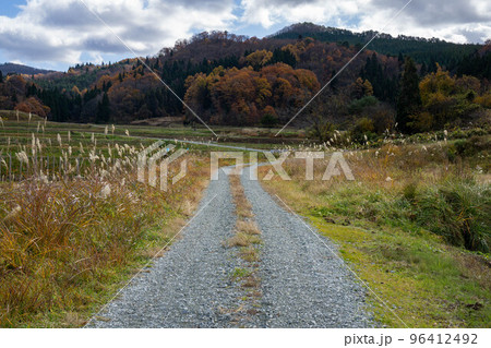 秋の農道 秋の農道 96412492