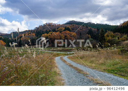 秋の農道 96412496