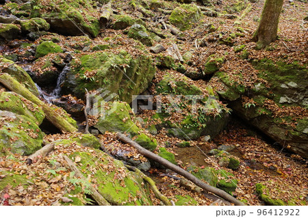 落ち葉に覆われた秋の御岳山ロックガーデン 96412922