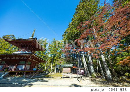 高野山「金剛峯寺」の紅葉　蛇腹道から壇上伽藍東塔方向を見る 96414938