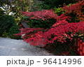 秋の高鴨神社 96414996