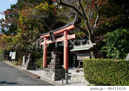 秋の高鴨神社 秋の高鴨神社 96415016