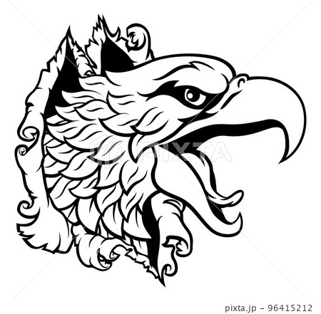 Eagle Hawk Face Head Tearing Through Background 96415212