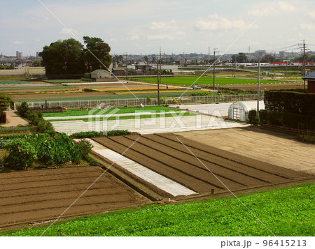 江戸川土手から見る秋の畑風景 江戸川土手から見る秋の畑風景 96415213