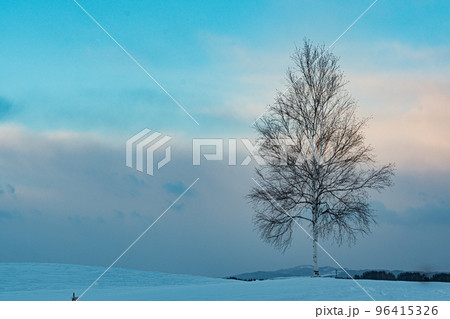 美瑛の丘の冬景色 北海道美瑛町の観光イメージ 美瑛の丘の冬景色 北海道美瑛町の観光イメージ 96415326