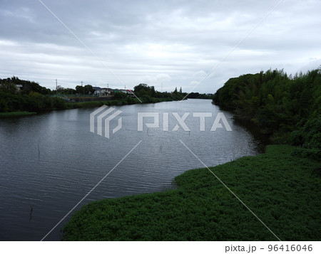 ある日の将監川 96416046