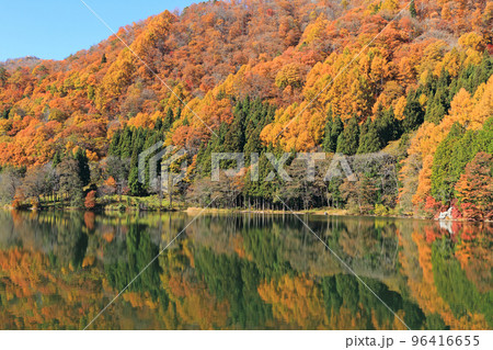 錦秋の中綱湖 96416655