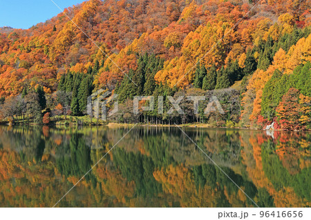 錦秋の中綱湖 96416656