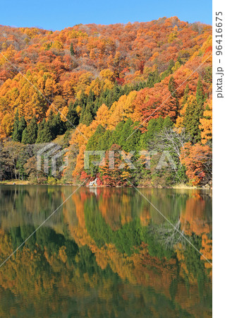 錦秋の中綱湖 96416675