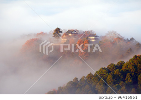 天空の城2439 96416961