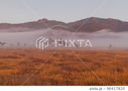 秋の尾瀬 幻想的な朝の風景 秋の尾瀬 幻想的な朝の風景 96417820