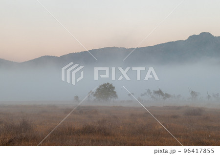 秋の尾瀬　幻想的な朝の風景 96417855