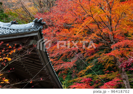 永源寺紅葉真っ盛り_2326 永源寺紅葉真っ盛り_2326 96418702