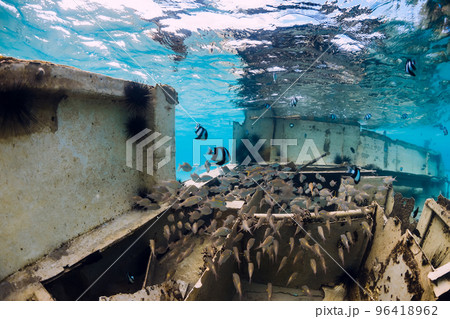 School of fish at wreck of boat underwater in transparent ocean 96418962