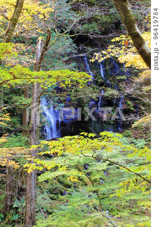 八方ヶ原の仁三郎の滝 八方ヶ原の仁三郎の滝 96419784