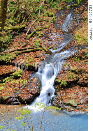 八方ヶ原の仁三郎の滝 八方ヶ原の仁三郎の滝 96419785